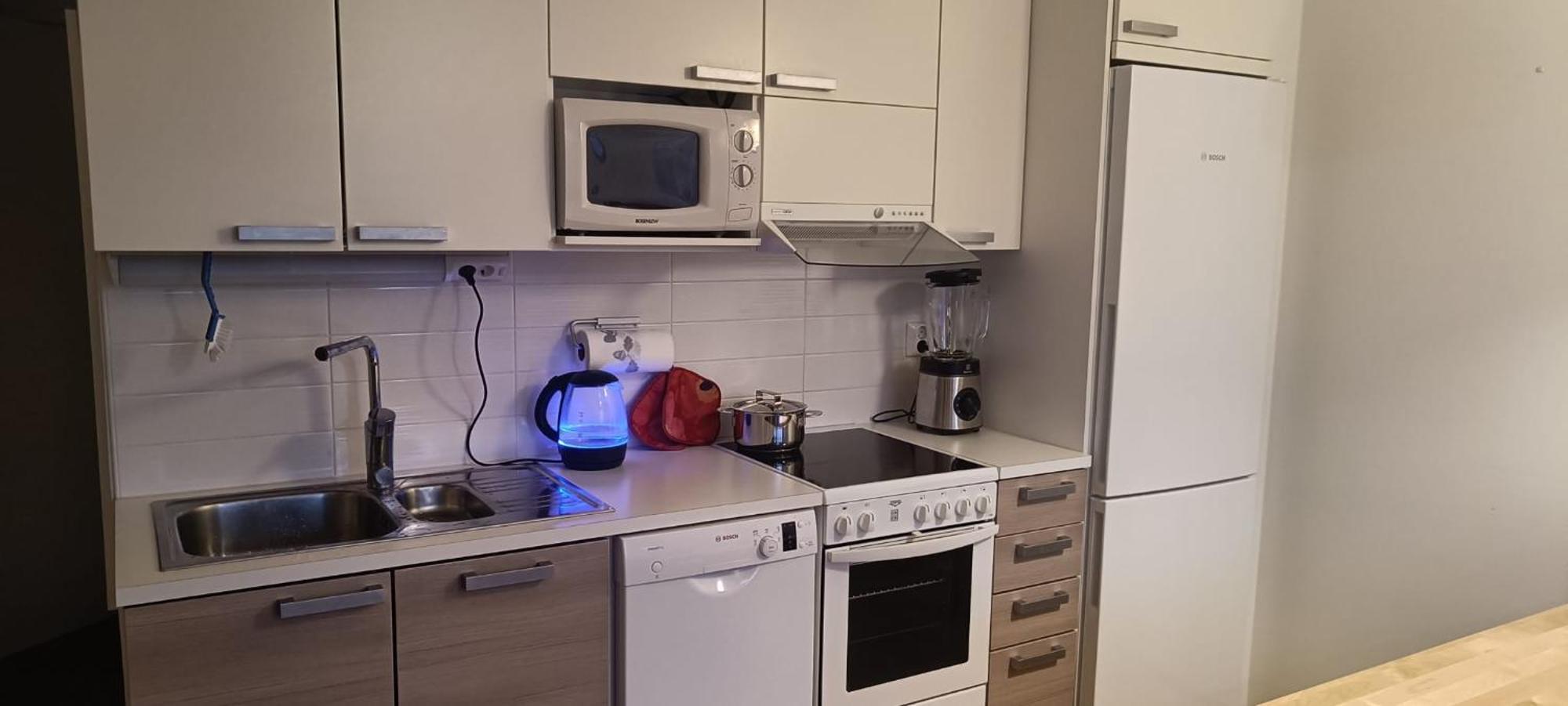 Kaarnikkarakka Apartment Рованіемі Екстер'єр фото